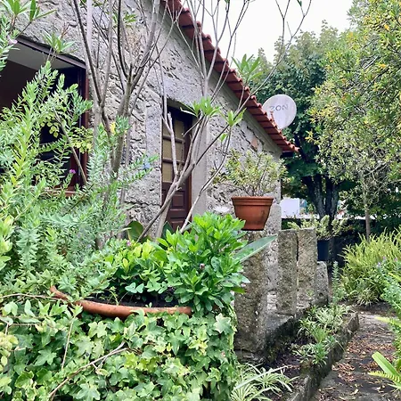 Maison Traditionnelle Areosa Dom wakacyjny Viana do Castelo