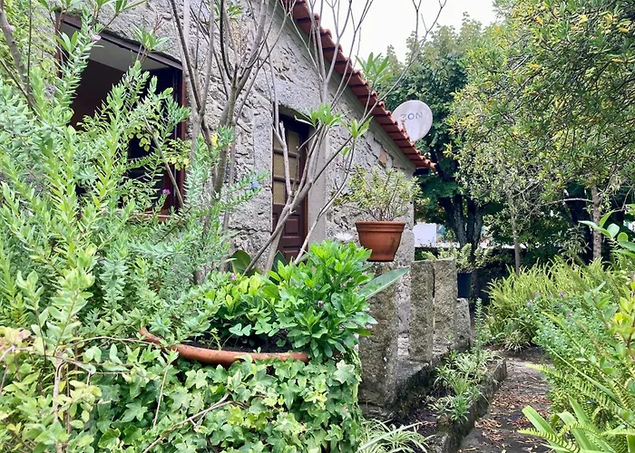 Maison Traditionnelle Areosa Dom wakacyjny Viana do Castelo